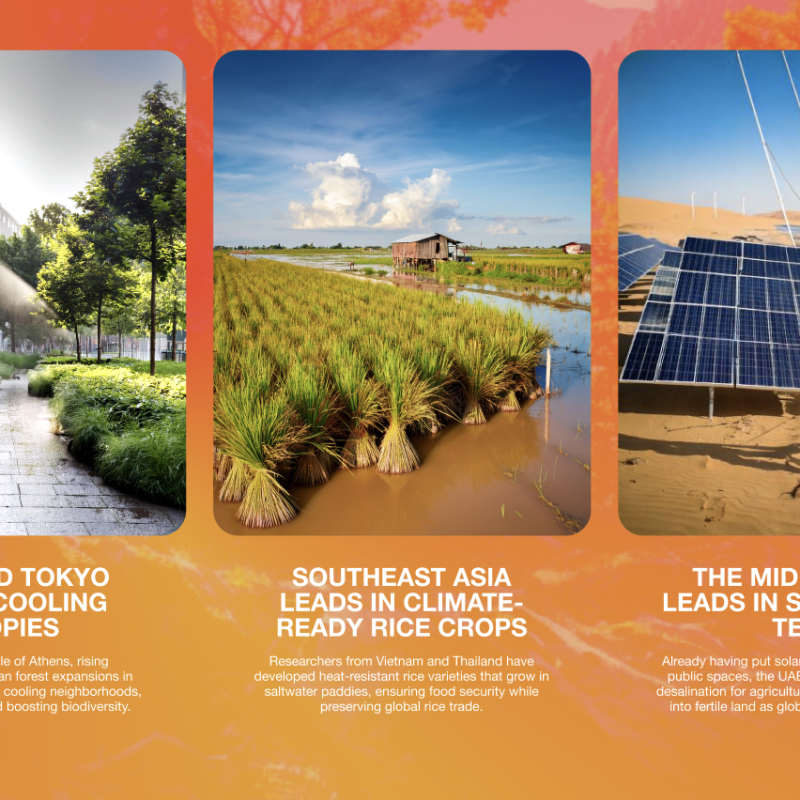 Screenshot 2025-09-24 at 13.55.49