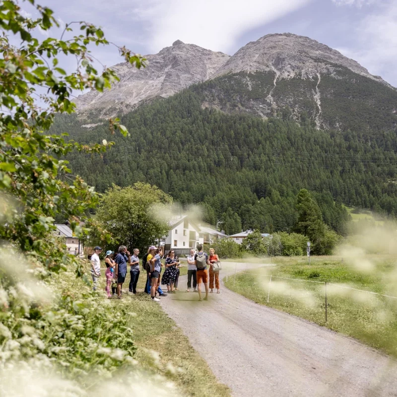 image-de2a12d3-8d7e-4065-a848-07d1cc4fa43d